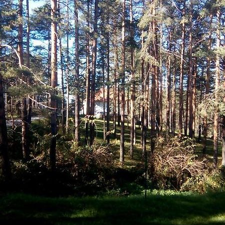 Apartment 9 Gorska Vila Златибор Екстериор снимка