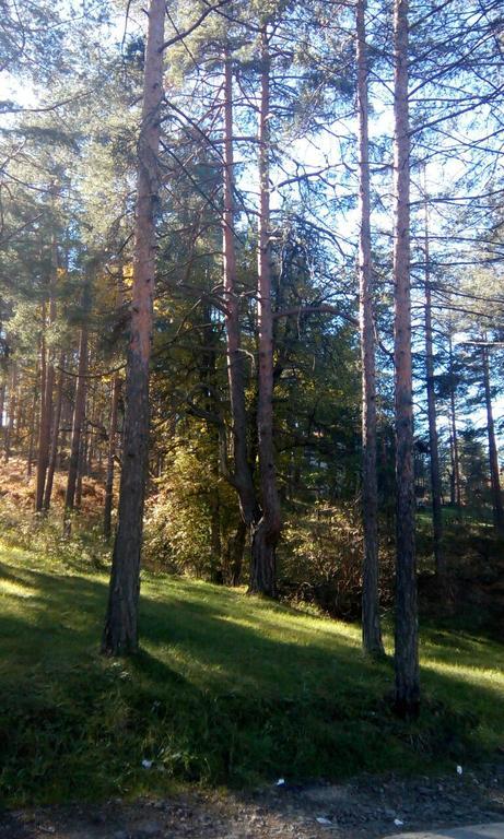 Apartment 9 Gorska Vila Златибор Екстериор снимка