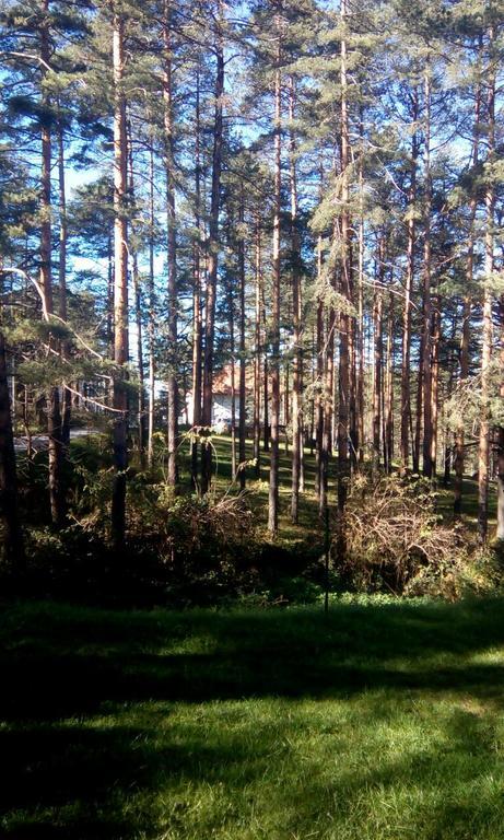 Apartment 9 Gorska Vila Златибор Екстериор снимка